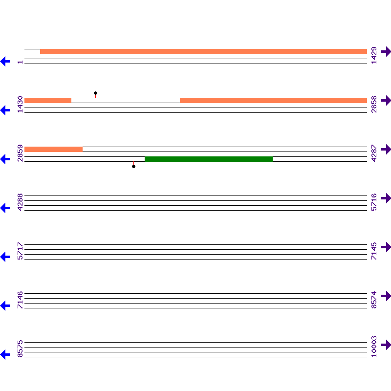 Genome View