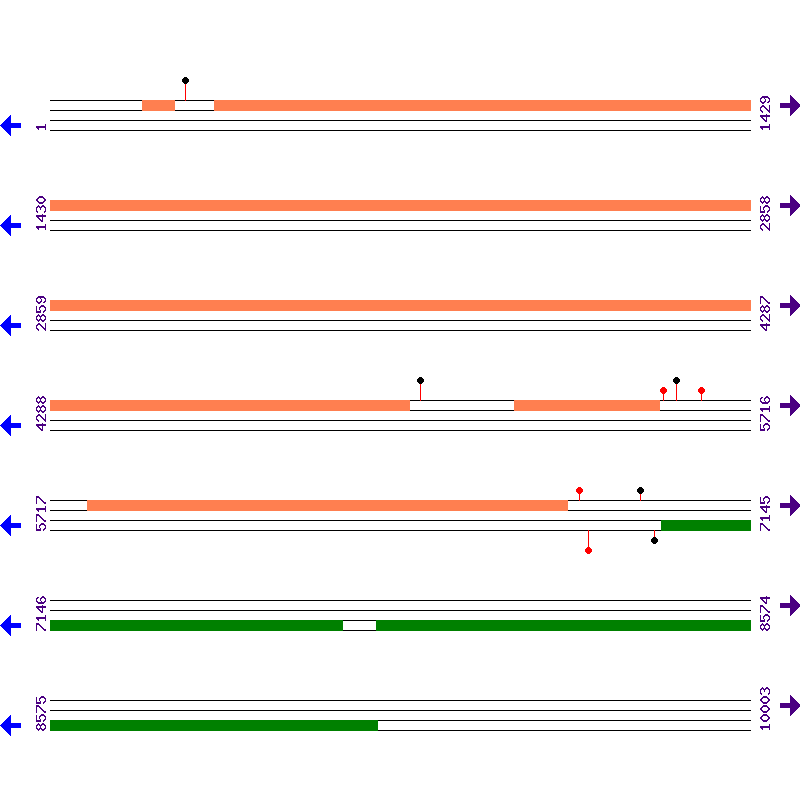 Genome View