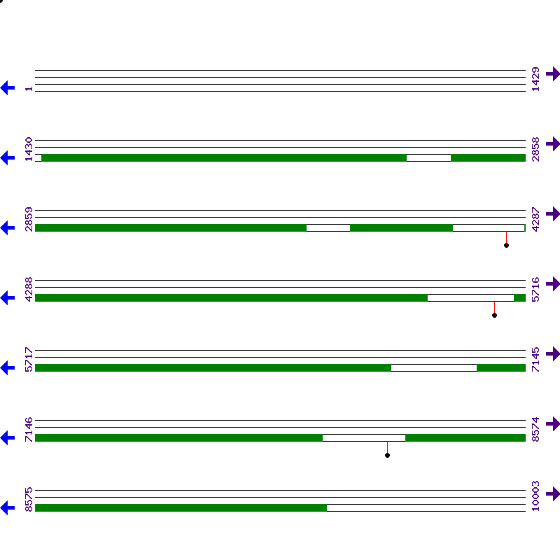 Genome View