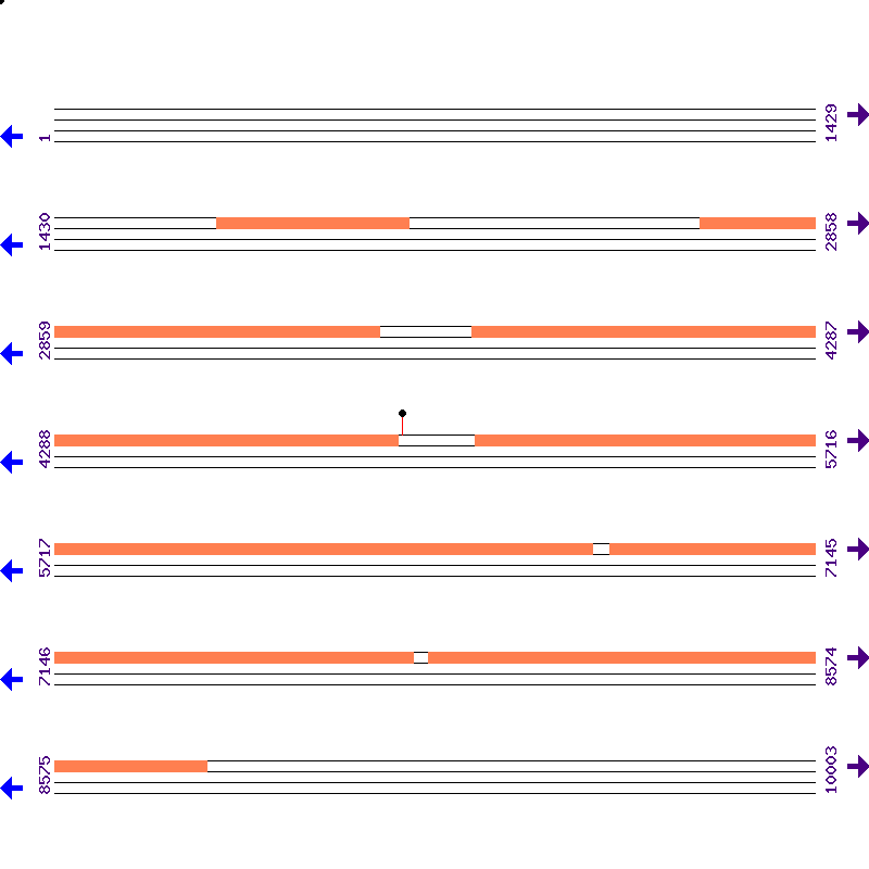 Genome View