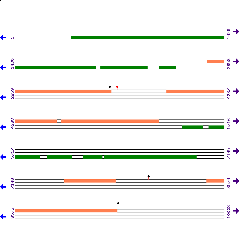 Genome View