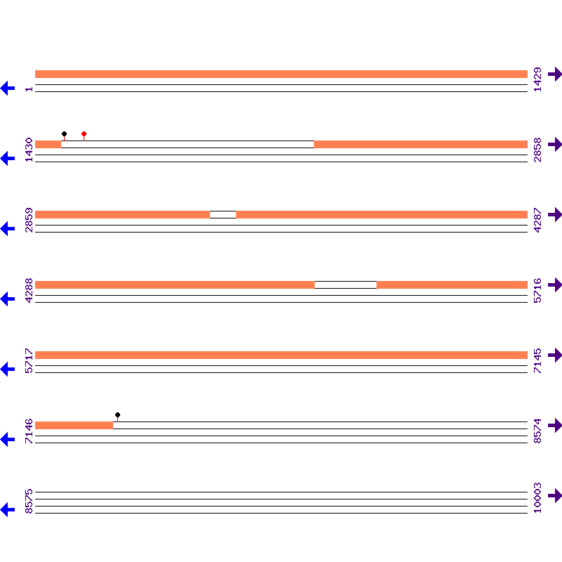 Genome View