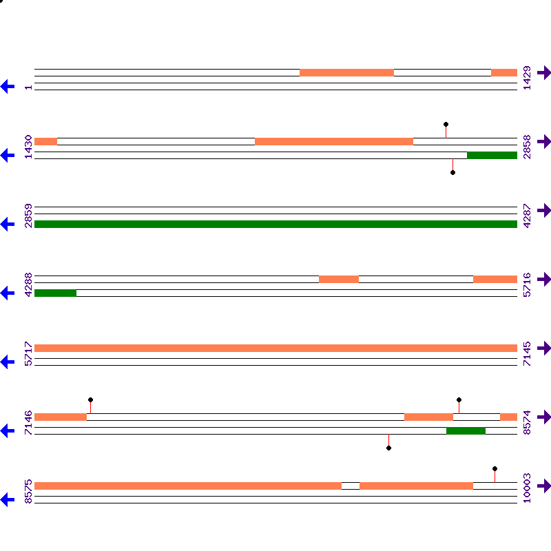 Genome View