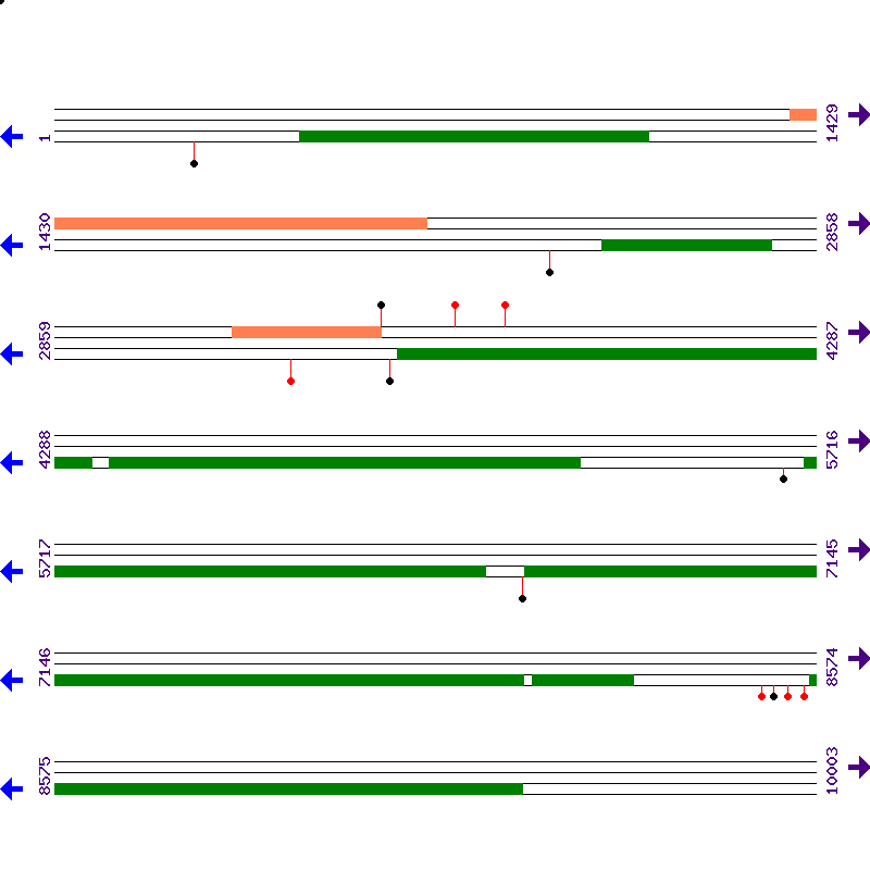 Genome View
