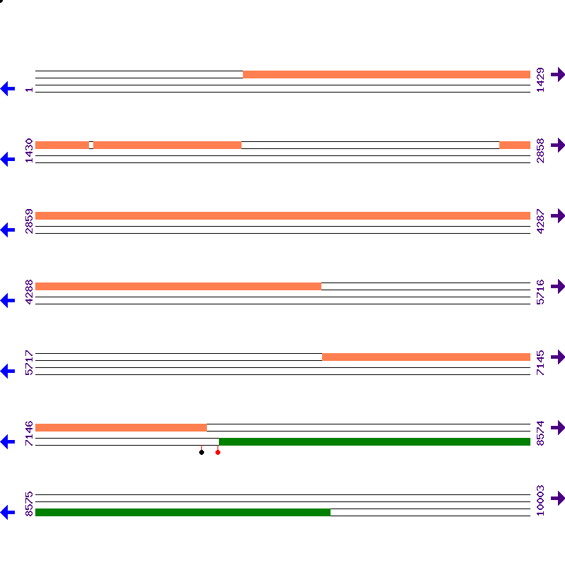 Genome View