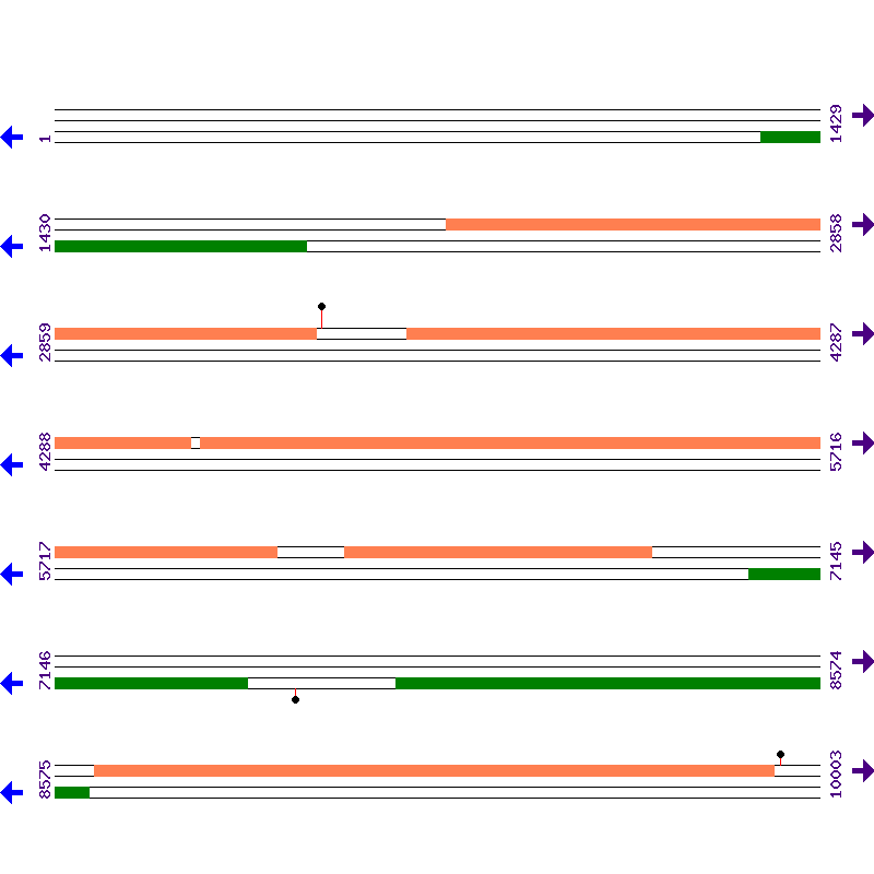 Genome View