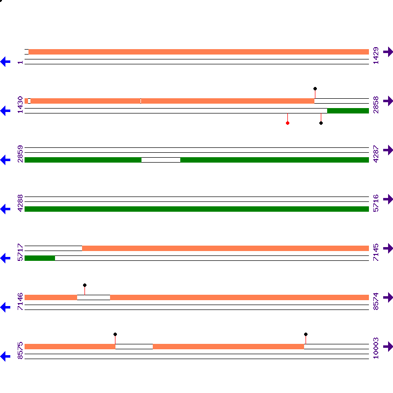 Genome View