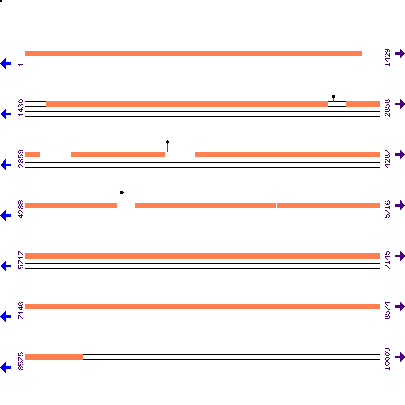 Genome View