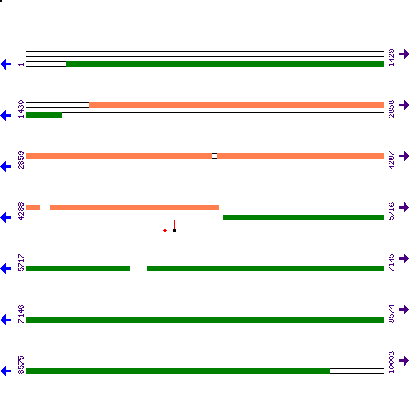Genome View