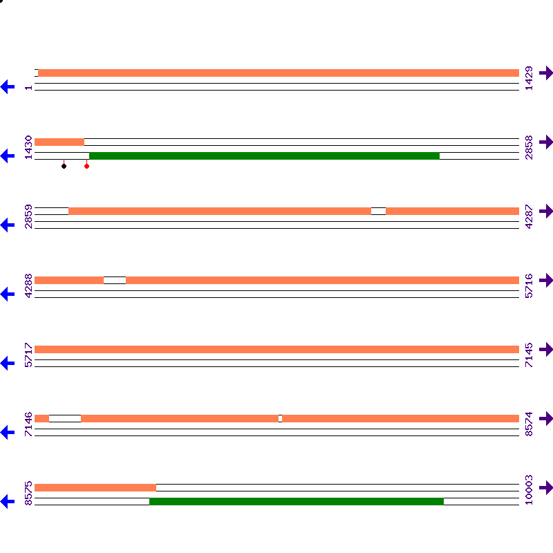 Genome View