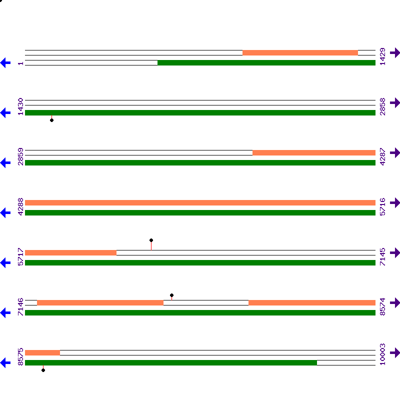 Genome View