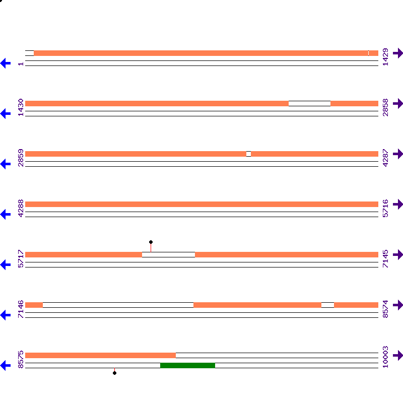 Genome View