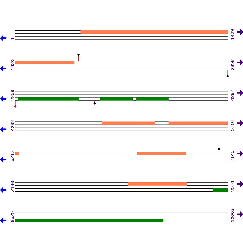 Genome View