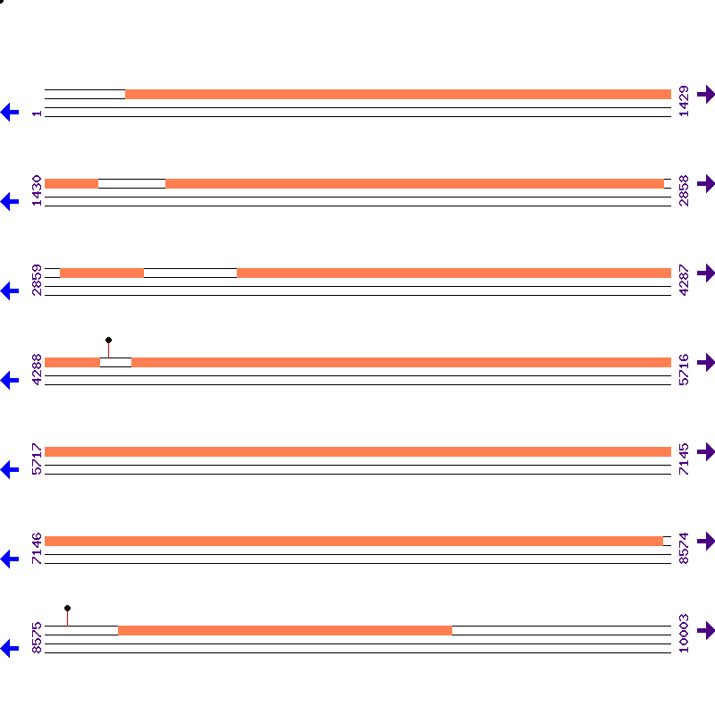 Genome View