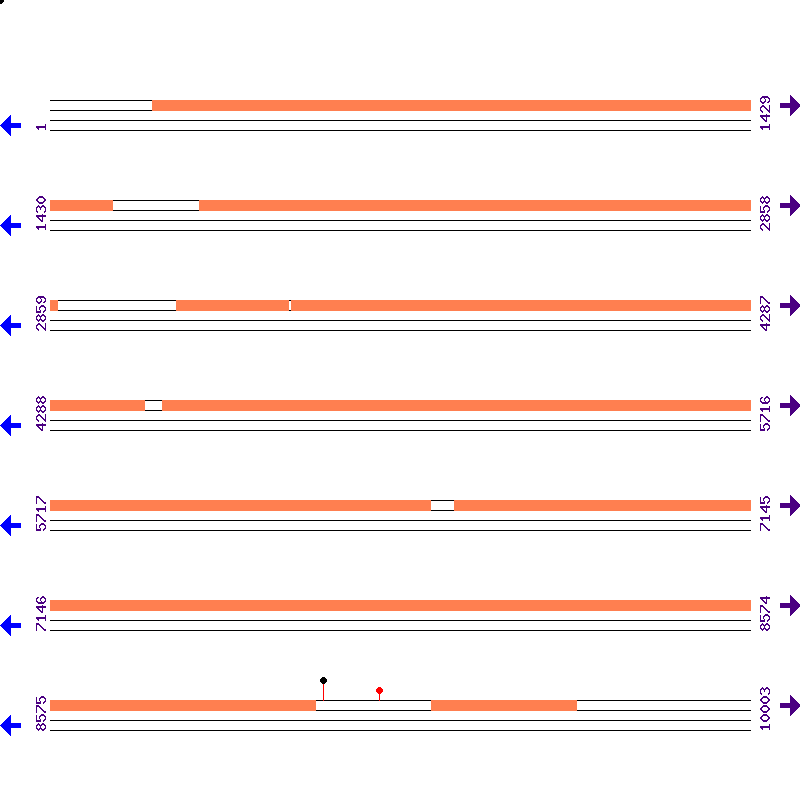 Genome View