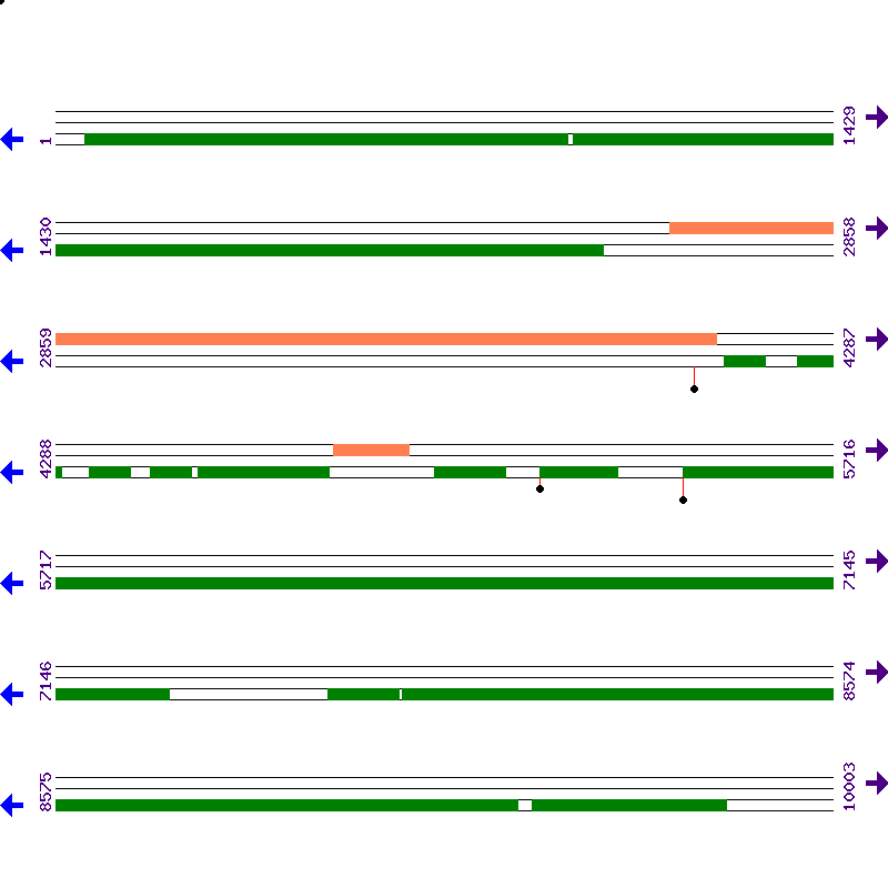 Genome View