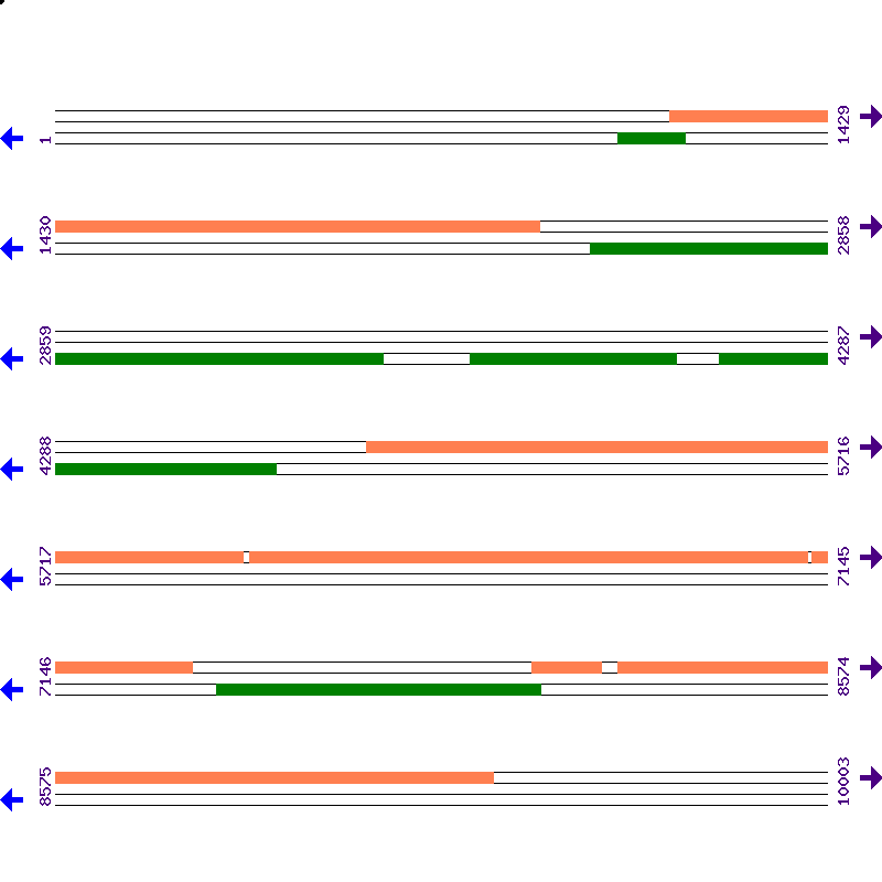 Genome View