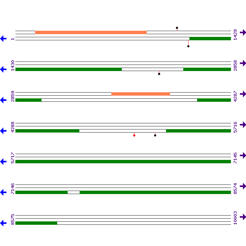 Genome View
