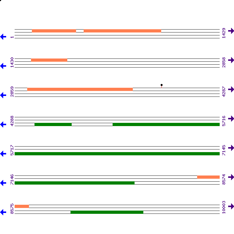 Genome View