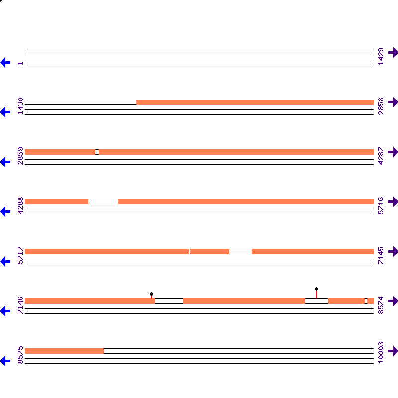 Genome View