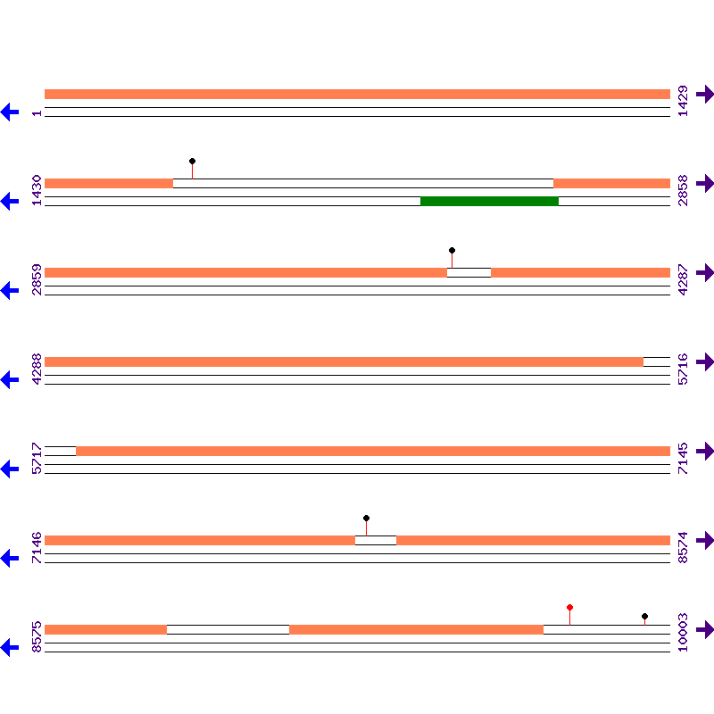 Genome View