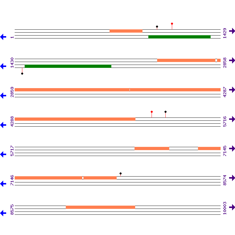 Genome View