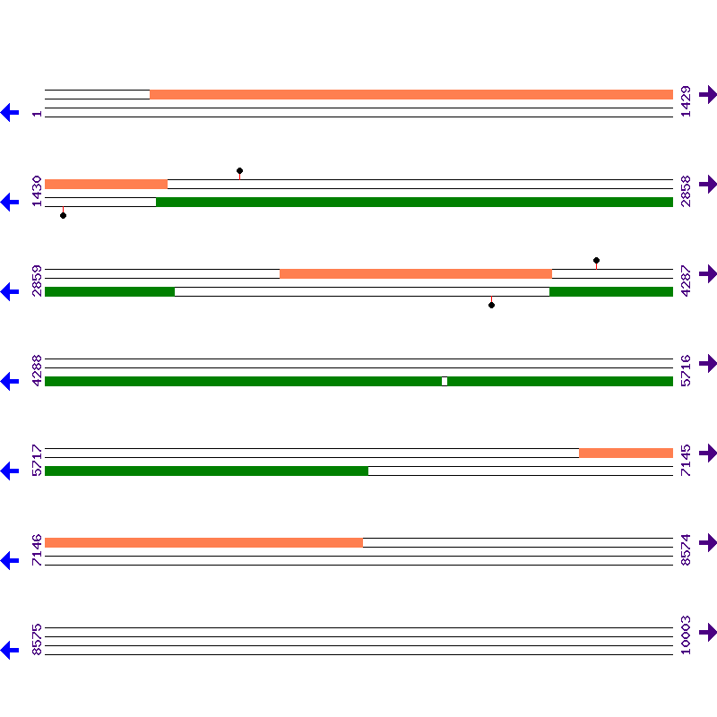 Genome View