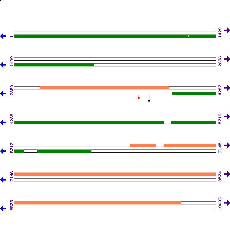Genome View