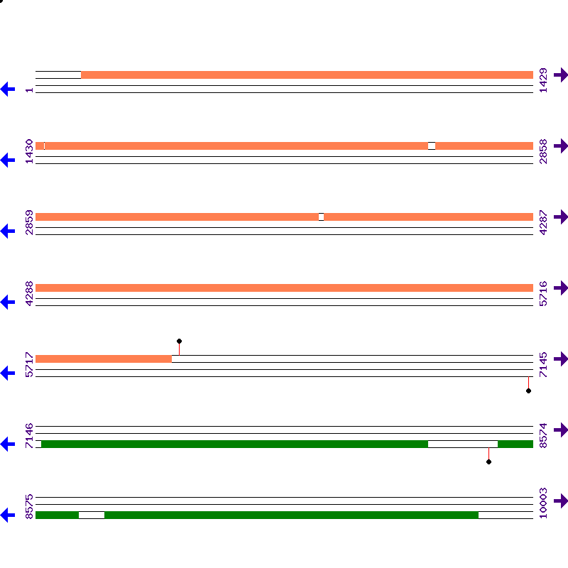 Genome View
