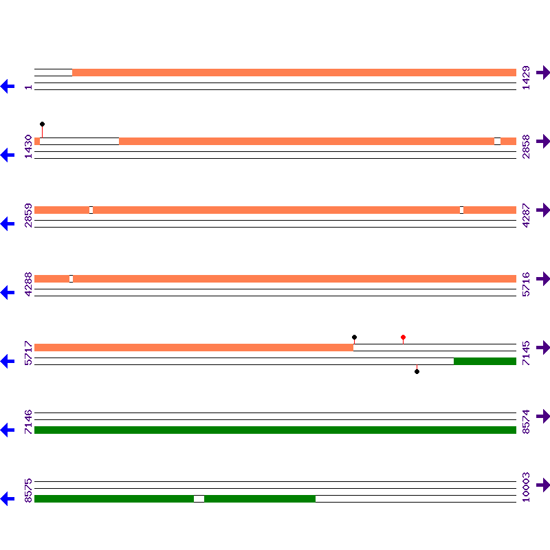 Genome View
