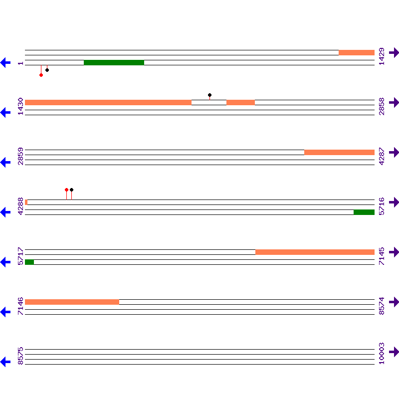 Genome View