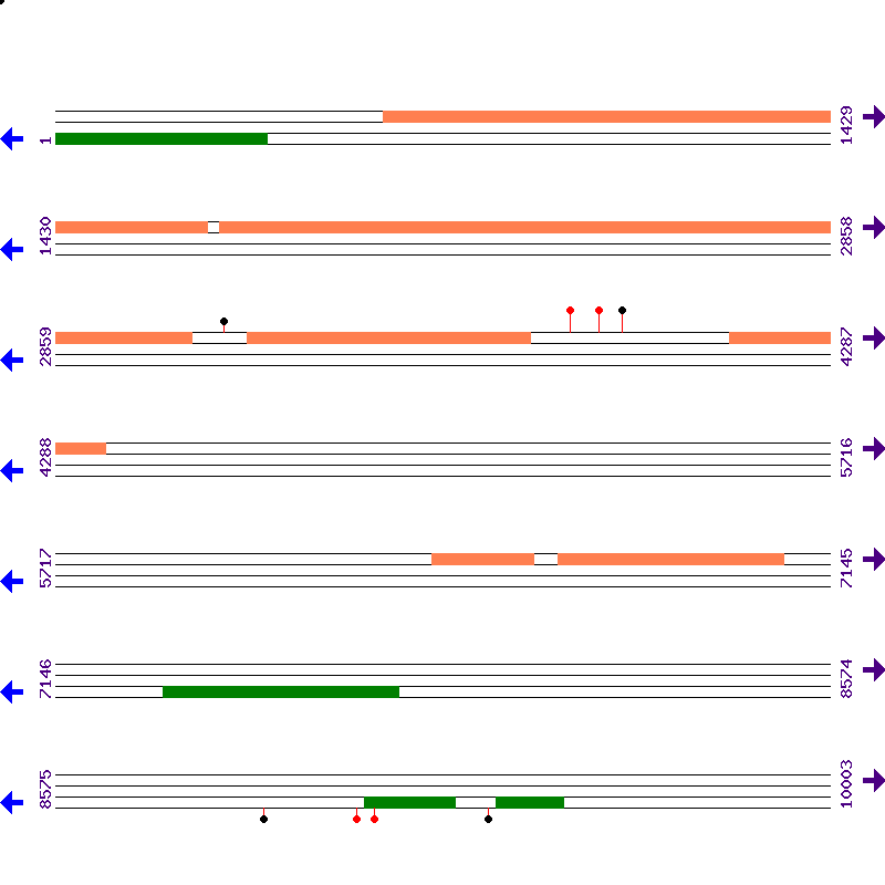 Genome View