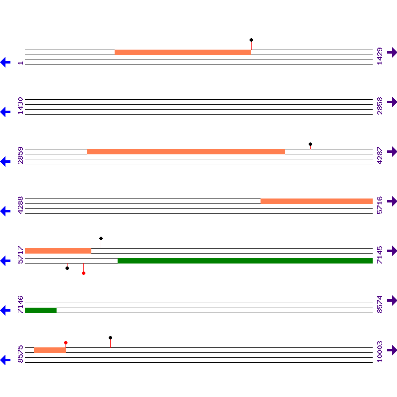 Genome View