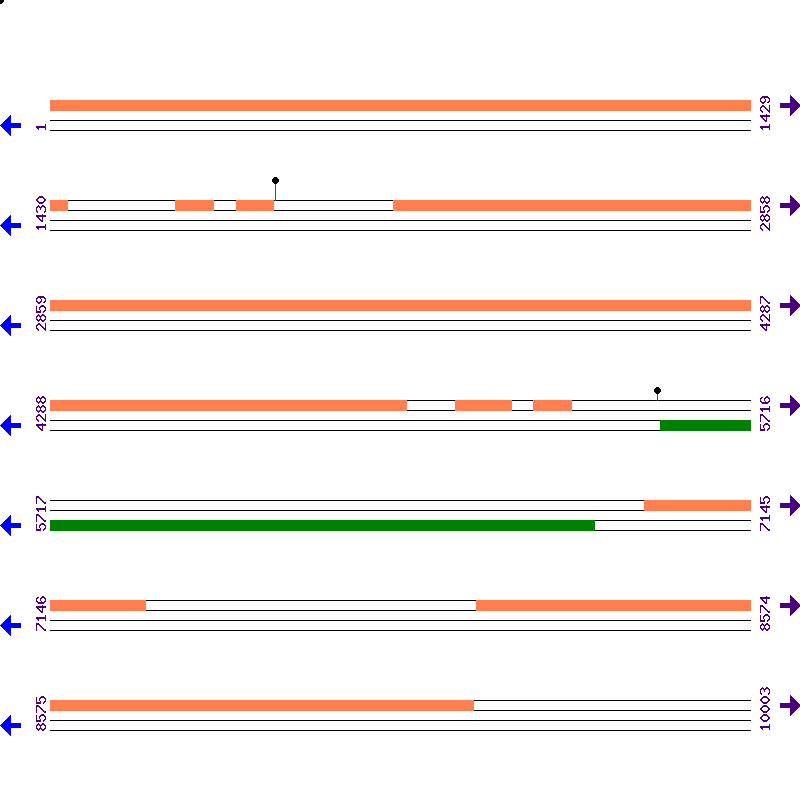 Genome View