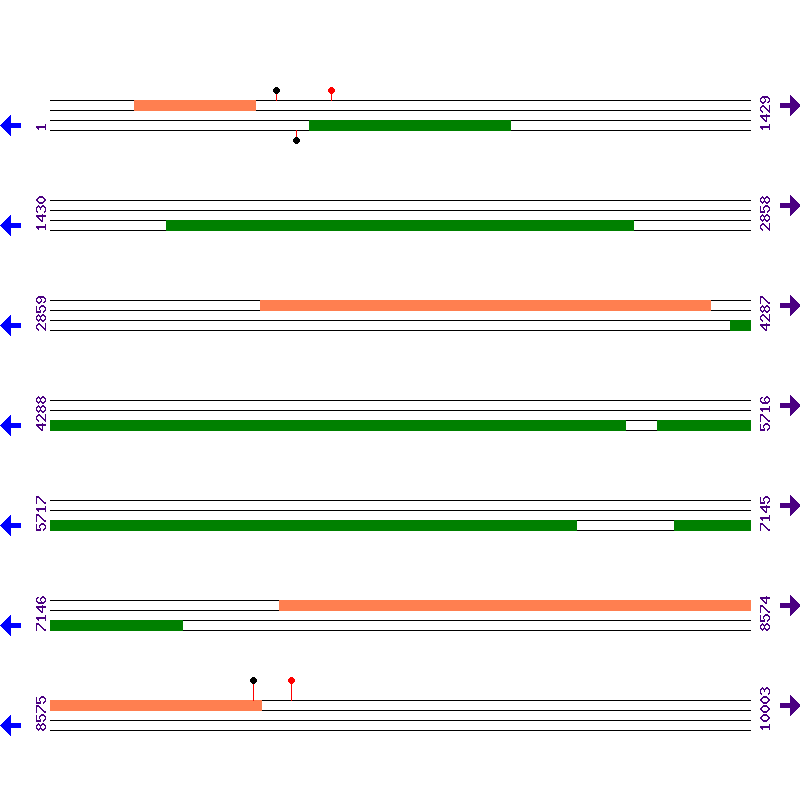 Genome View