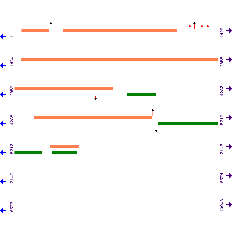 Genome View
