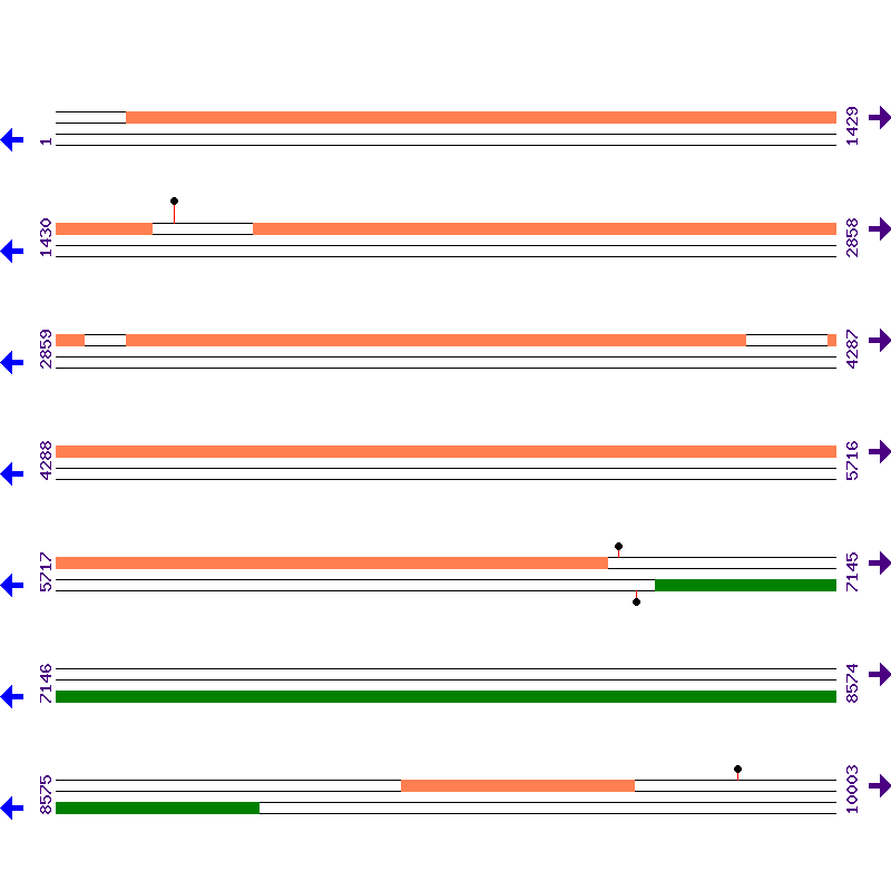 Genome View