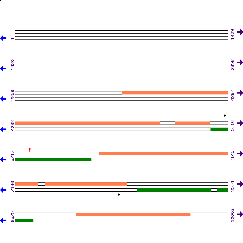 Genome View