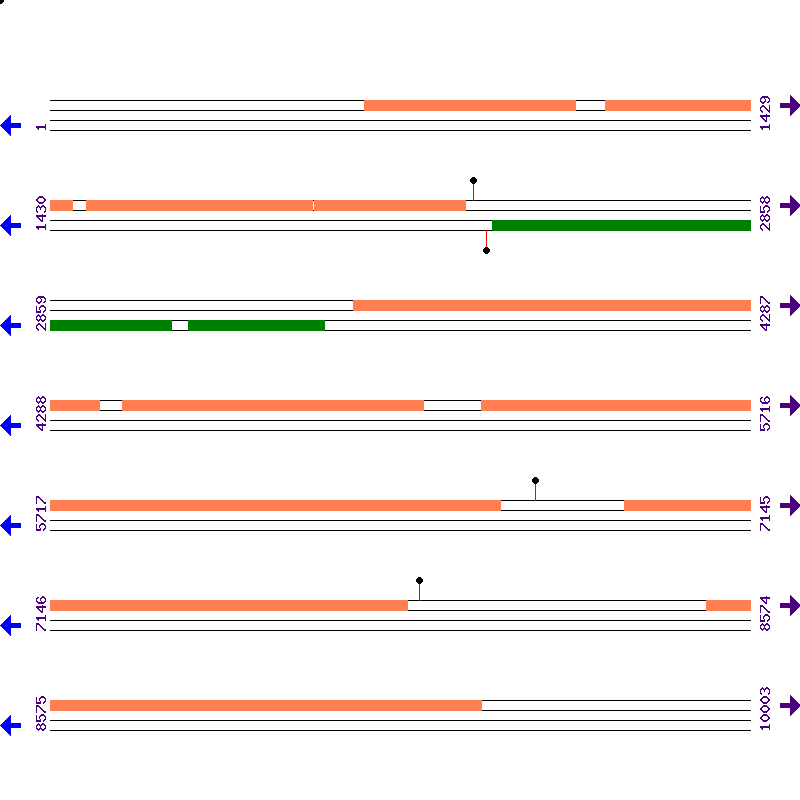 Genome View