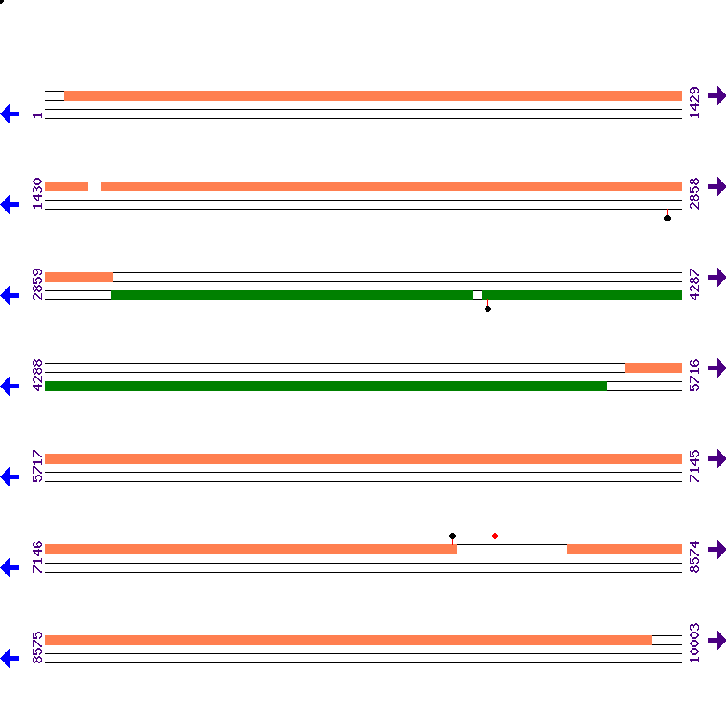 Genome View