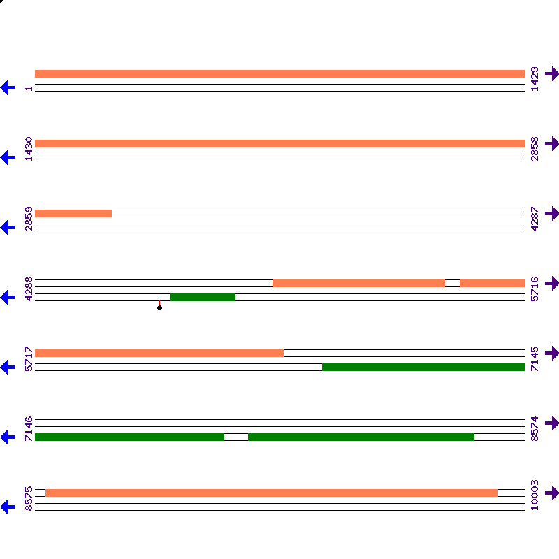 Genome View