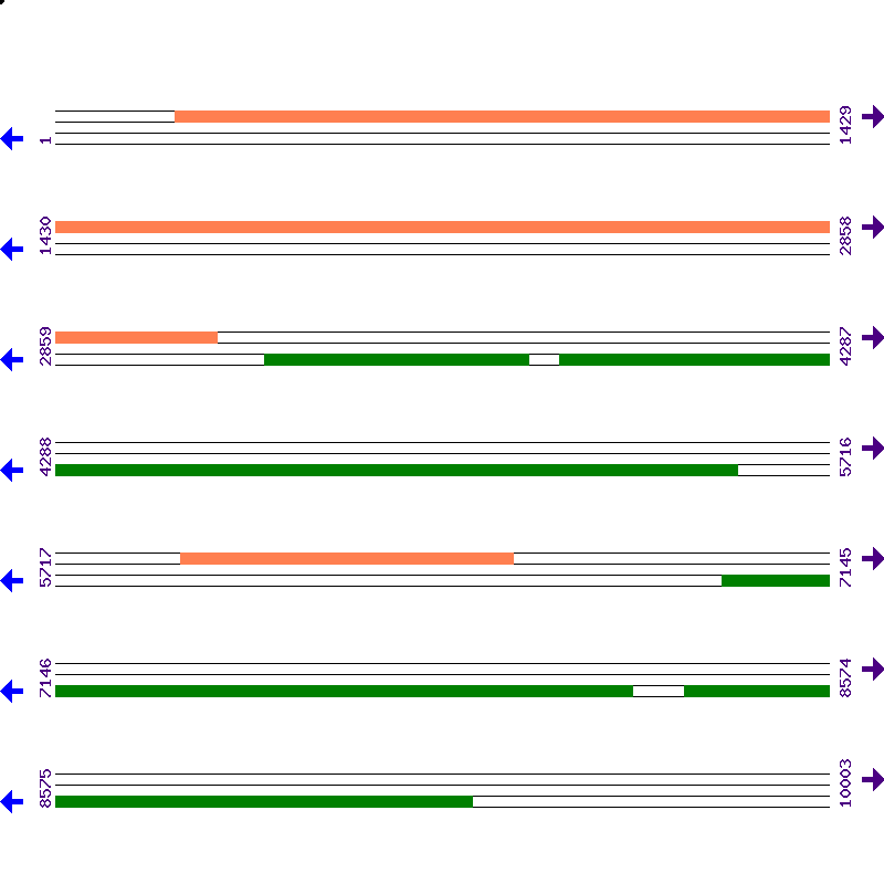 Genome View