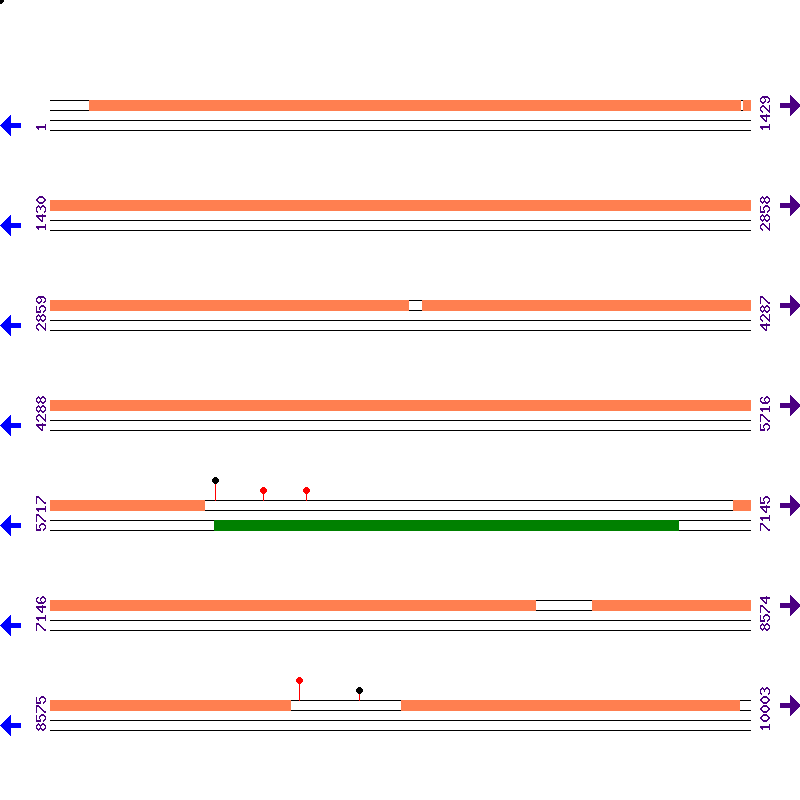 Genome View