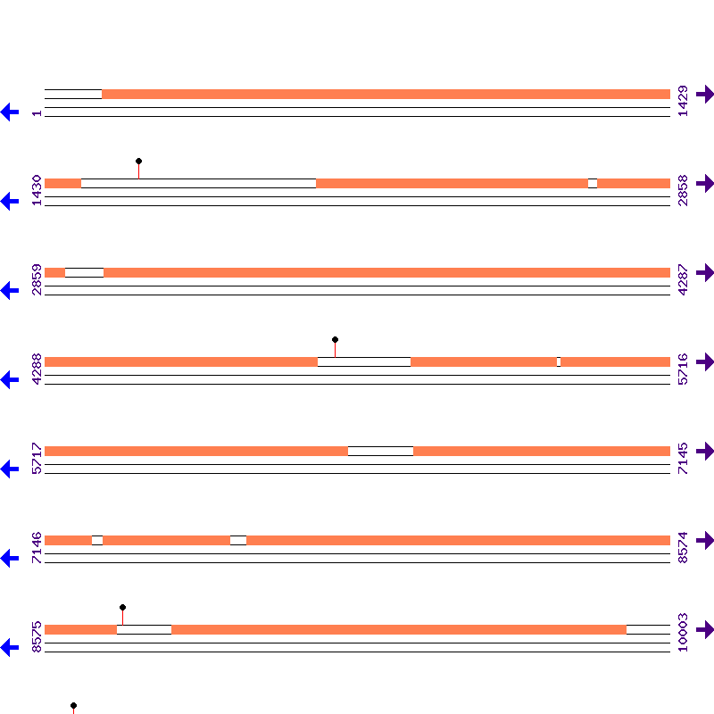 Genome View