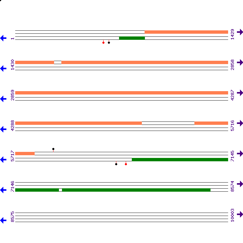 Genome View