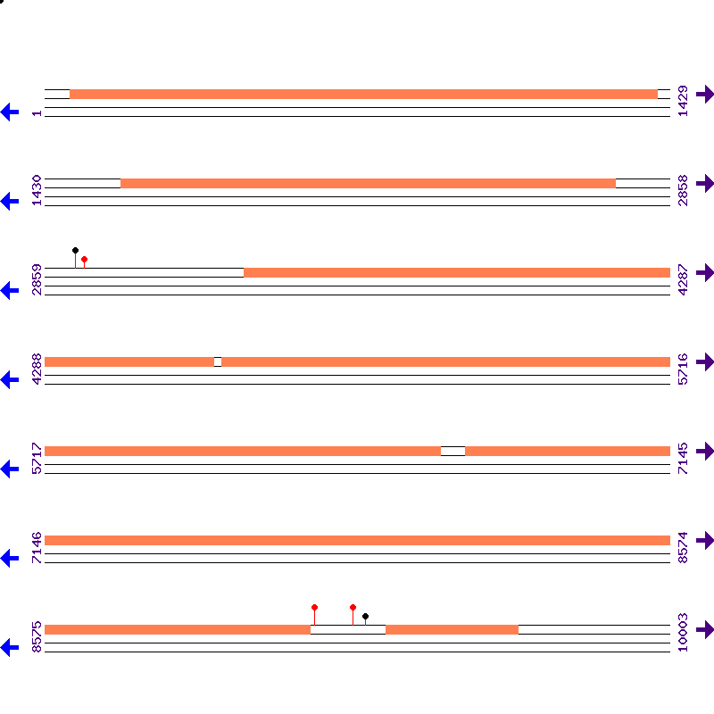 Genome View