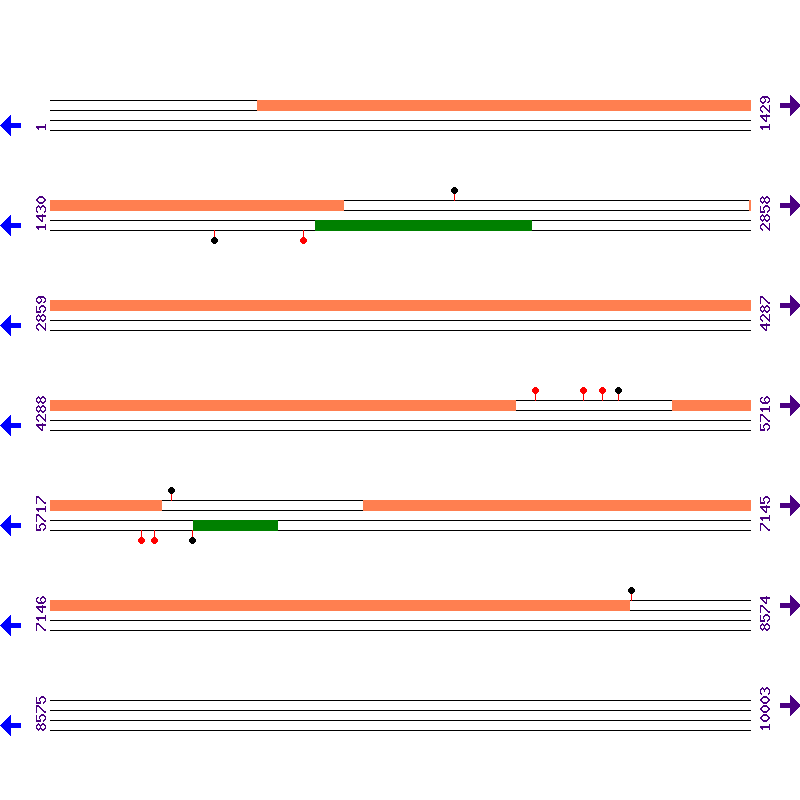 Genome View