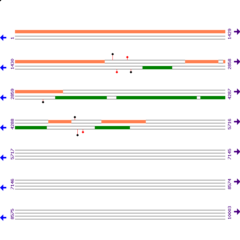 Genome View