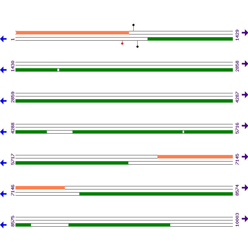 Genome View