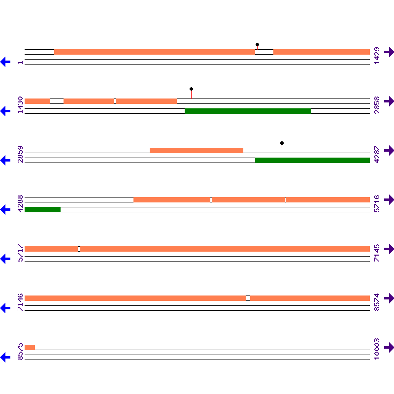 Genome View